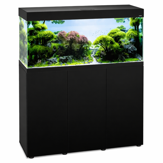 Création Aquarium Premium