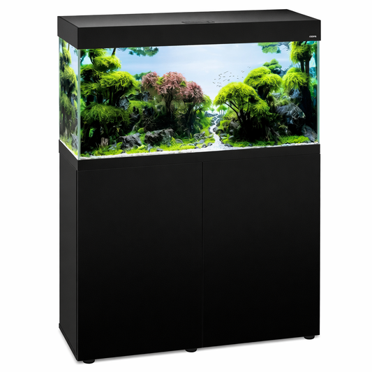 Création Aquarium Confort