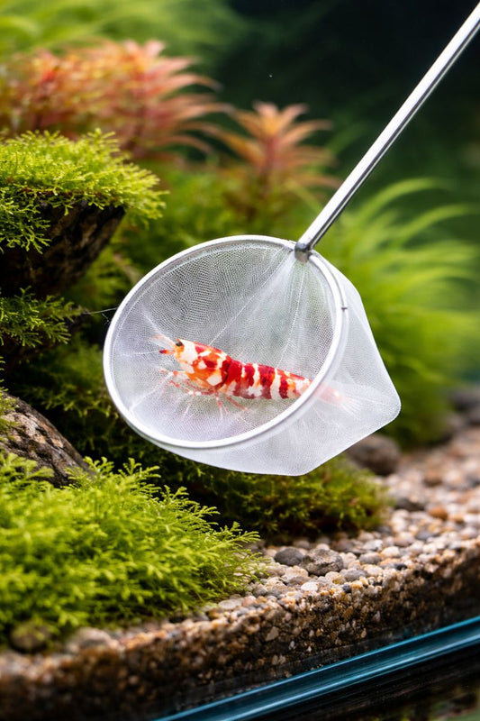 Épuisette Aquarium Maille Fine