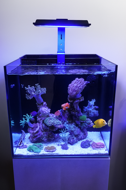 Lampe récifal MJ290