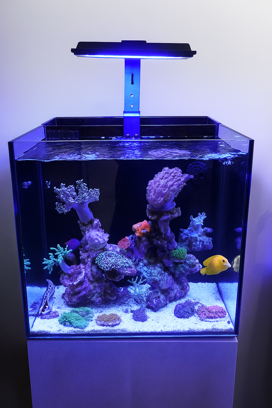 Lampe récifal MJ290